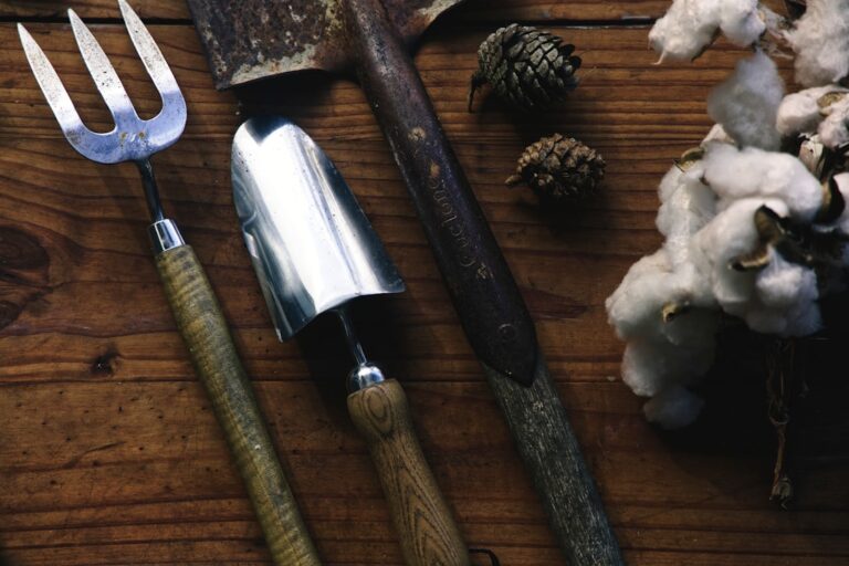 Top 10 Innovative Gardening Tools for Modern Gardeners
