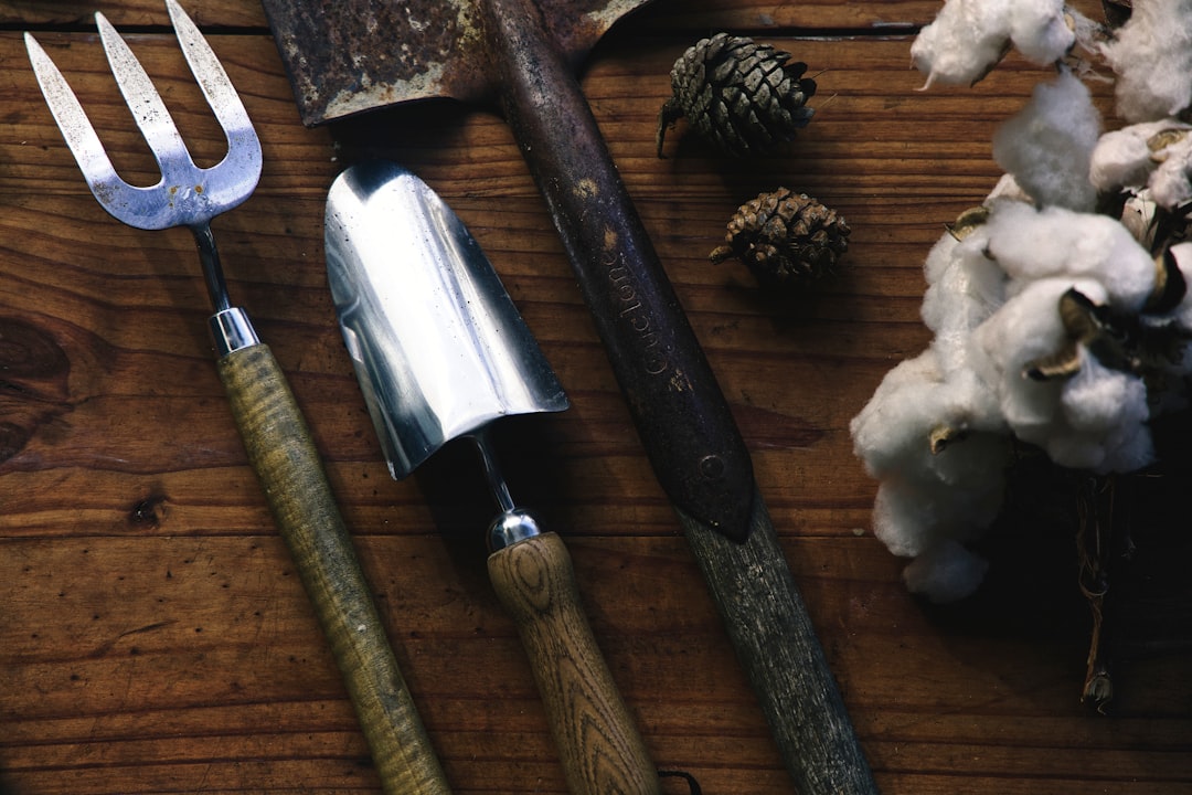 Top 10 Innovative Gardening Tools for Modern Gardeners