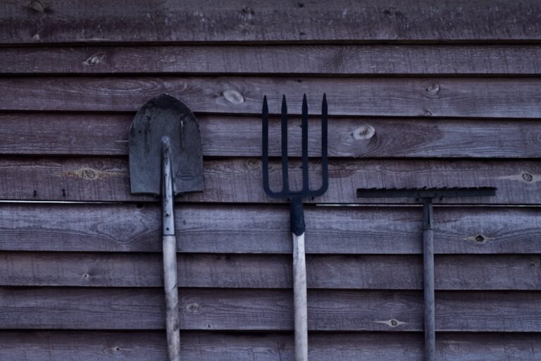 Tips for Organizing and Storing Your Gardening Tools Effectively