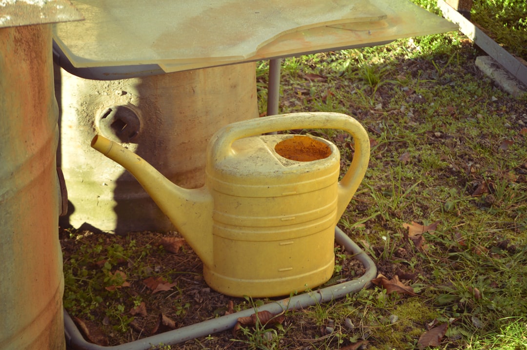 Transform Your Gardening Experience with These Unique Tools